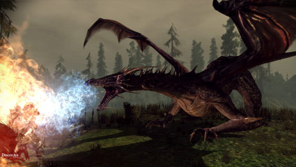 Dragon Age: Origins - PC : Video Games