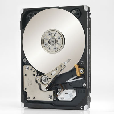 Seagate Constellation.2 1TB Hard Drive