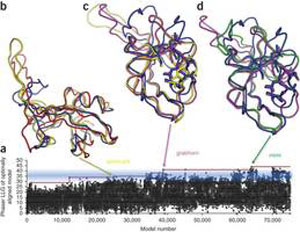 Online Gamers Help Crack AIDS Enzyme Folding Puzzle