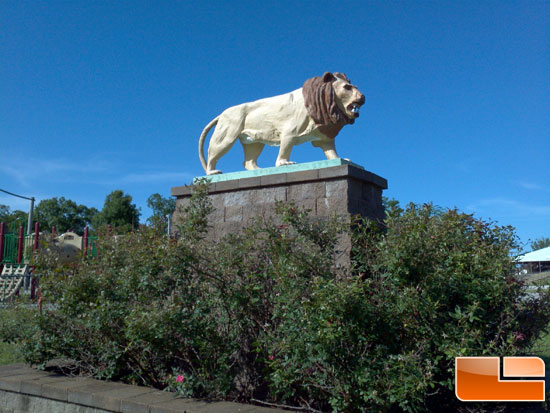 Motorola Xoom Picture of Lion Statue