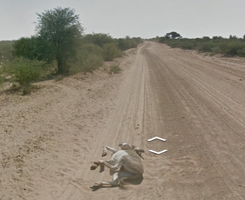 Google Street View Donkey Killing