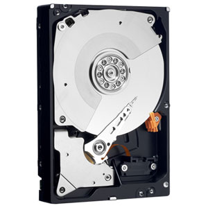 Western Digital SAS Hard Drive