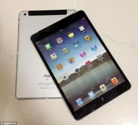 Leaked: Pictures of New iPad Mini