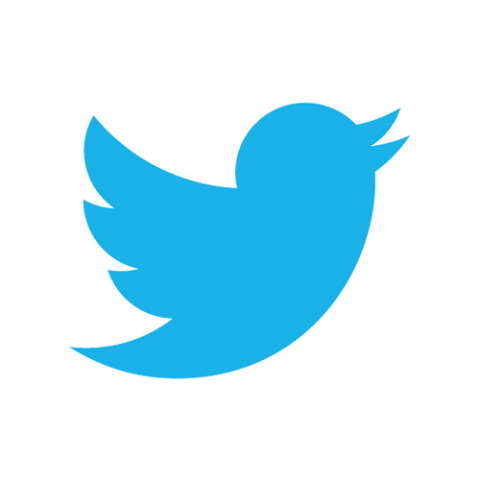 Twitter Ad Revenue Expected to Reach $1 Billion in 2014